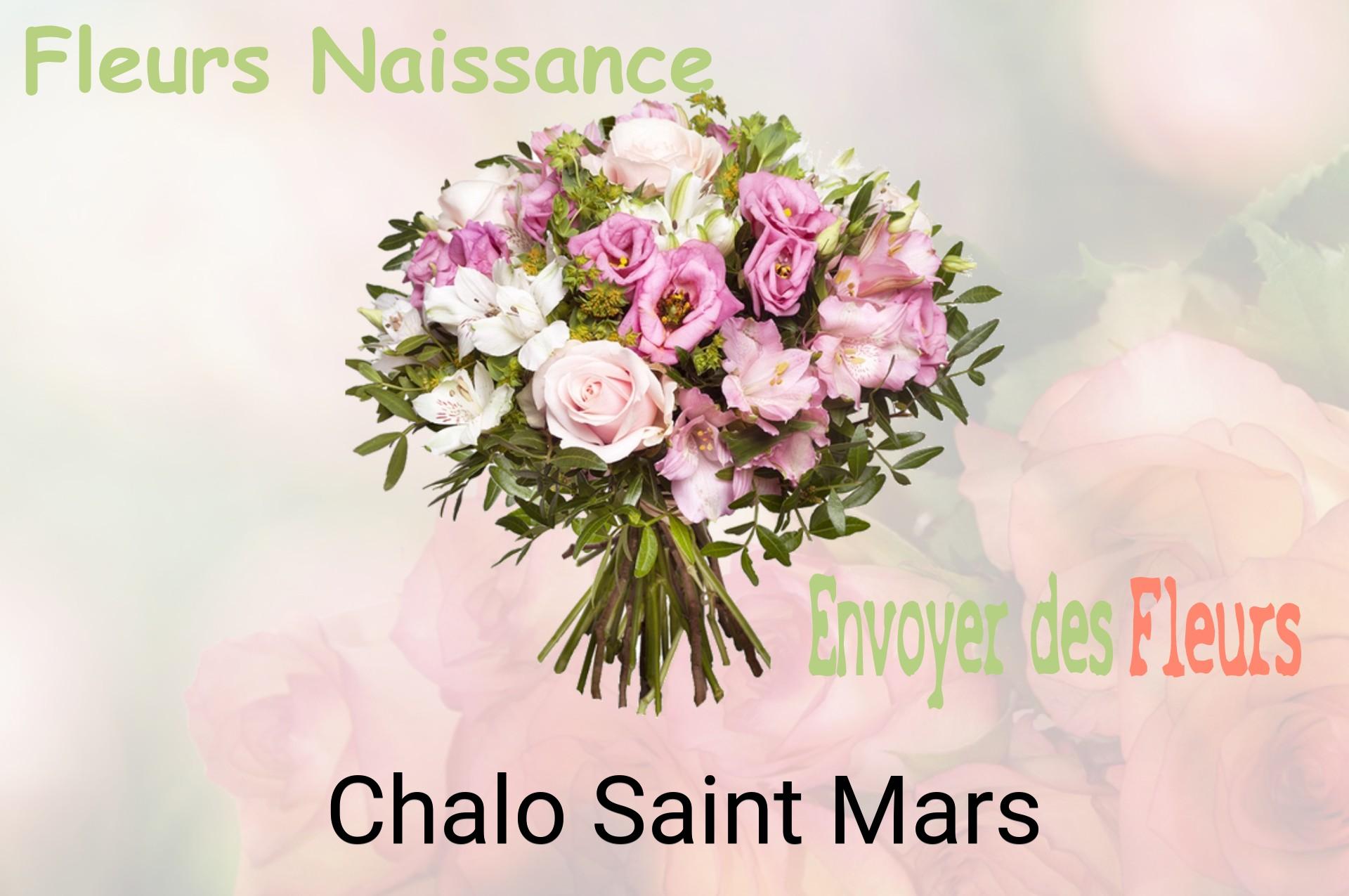 Bouquet de fleurs de naissance livré à Chalo-Saint-Mars