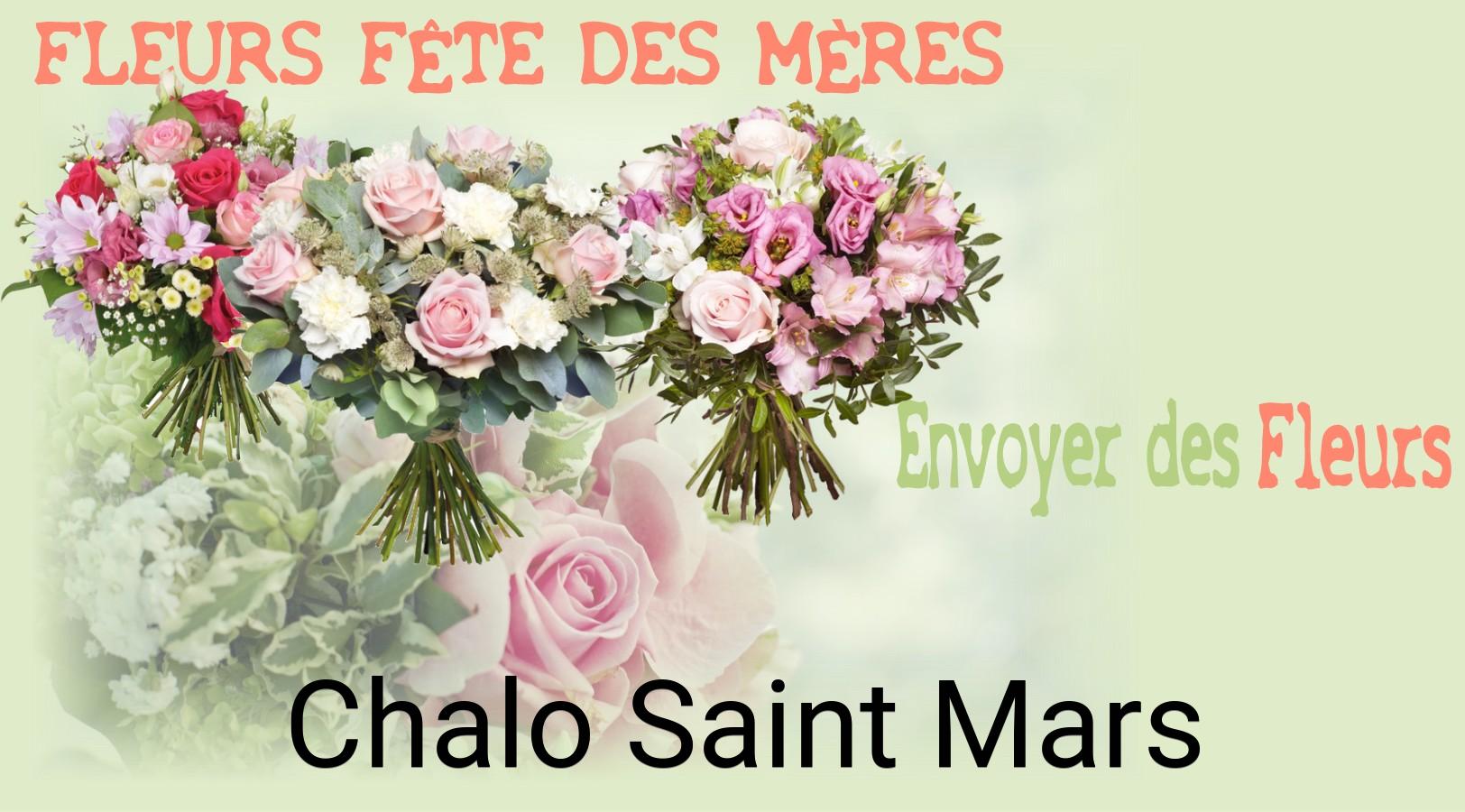 Bouquet de Fête des Mères livré à Chalo-Saint-Mars